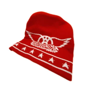 Aerosmith | walk this way | beanie