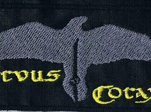 Corvus Corax | raven | patch