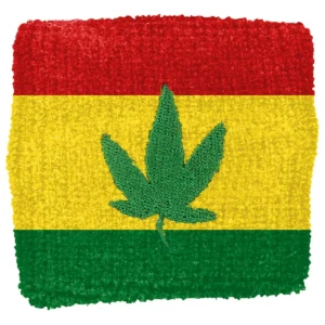 Rasta leaf | sweatband